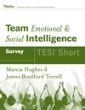 Short assessment to measure seven dimensions of team behavior.